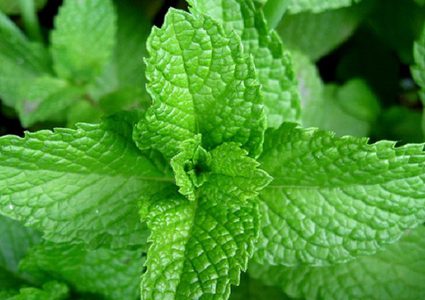 نصائح لانقاص الوزن