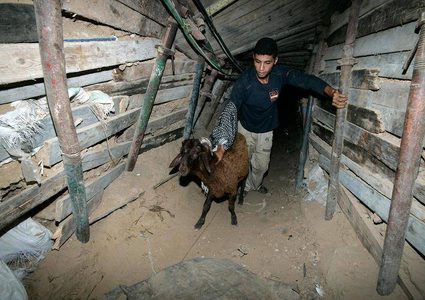 تجارة الأنفاق في غزة تعود إلى الحياة