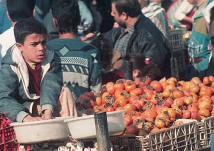 اطفال تجبرهم الظروف للعمل في اريحا والاغوار