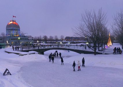"الدانوب" يتحول لمضمار تزلج بفعل البرد القارس