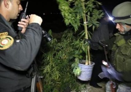 ضبط مواد مخدرة في طولكرم