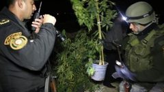 ضبط مواد مخدرة في طولكرم