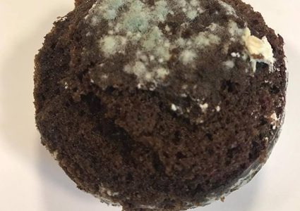 جاتوه متعفن يباع في  "سوبر ماركت" (صور)