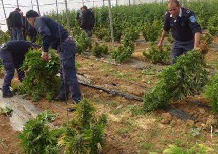 الشرطة: ضبط مخدرات وانجاز 2997 قضية