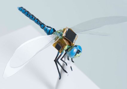 الهندسة الوراثية تلجأ لطائرات بدون طيار