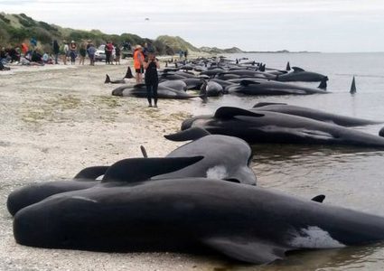 فيديو لكارثة بيئية لم تحدث منذ 32 عاما