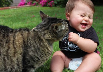 تربية القطط تهدئ الأعصاب