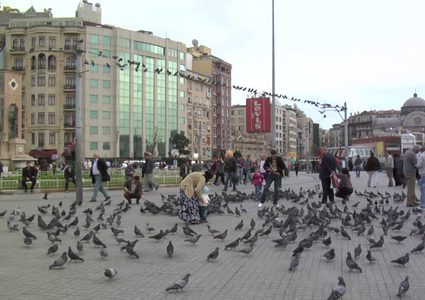 الاتراك ينثرون القمح على الجبال ليطعمون طيورهم