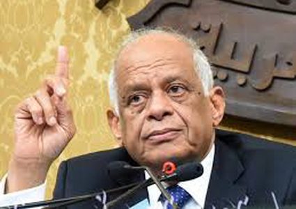 النواب المصري: فلسطين جوهر السياسة الخارجية المصرية