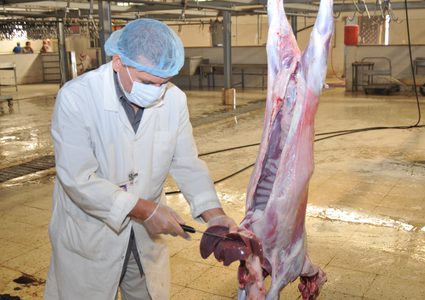 تفتيش مسالخ اللحوم في بيت لحم