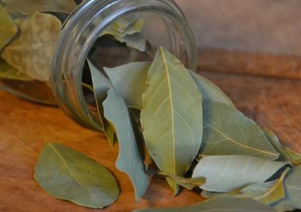 احرق ورق الغار  في منزلك وانتظر النتيجة!