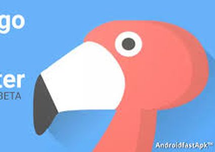 ما هو تطبيق فلامينغو؟