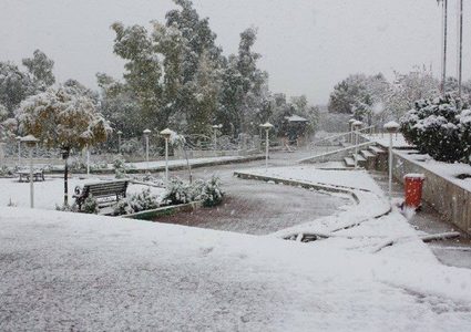 السعودية تتحول إلى أوروبا "صور وفيديو"