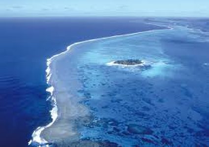 انخفاض كارثي في الأوكسيجين في المحيطات