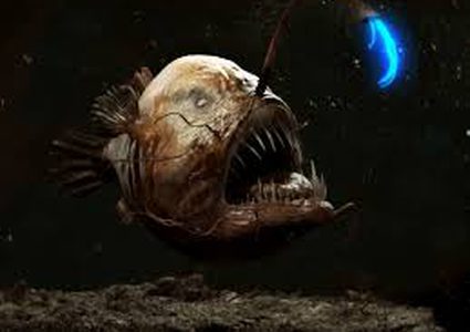 حشرات فضائية قد تكون خطراً على البشرية