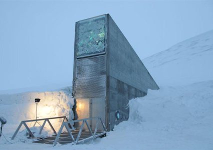 إيداع 50 ألف عينة بذور في قبو لحمايتها من الكوارث