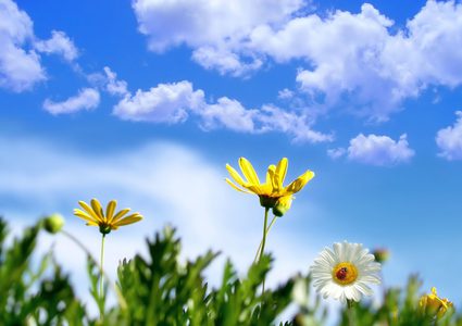 ارتفاع على الحرارة اليوم وغدا