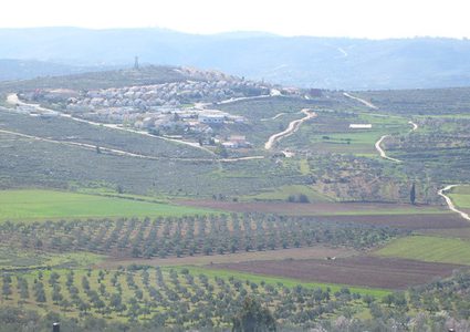 نيابة الاحتلال تدرس التماس أهالي جالود