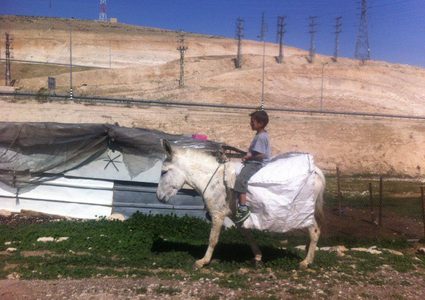 في فلسطين.. حكاية حياة بدائية إسمها "الخان الأحمر"