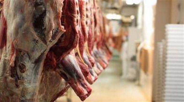 ضبط لحوم مهربة من البرازيل في اسرائيل