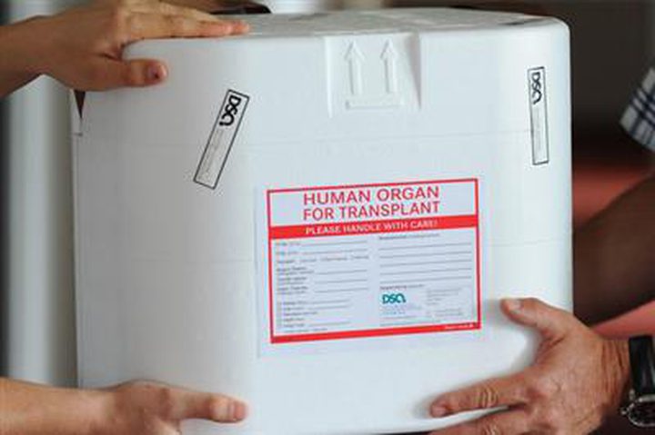 ابتكار يحفظ أعضاء الإنسان الحيوية سنة كاملة