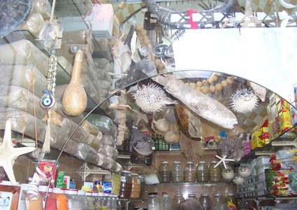 "سموم" في منازل الفلسطينيين!