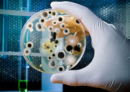 أول متحف للميكروبات بالعالم