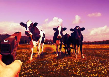 تغريم سويسري 14 ألف دولار لإشهاره السلاح بوجه أبقار