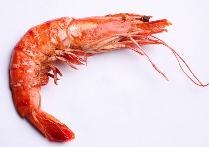 أكياس صديقة للبيئة من الروبيان