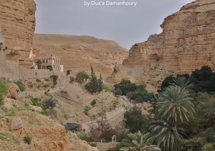 وادي القلط جمال الطبيعية في فلسطين"صور"