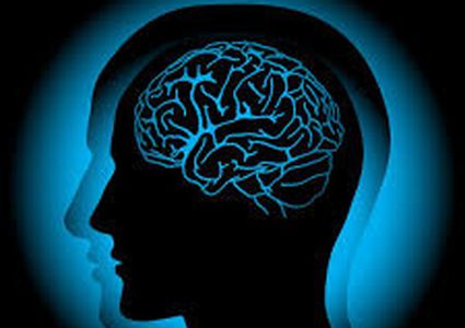 علماء يفوزون بمليون يورو لأبحاثهم عن المخ