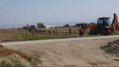 الاحتلال يرتكب "مجزرة" بحق نخيل أريحا (فيديو)