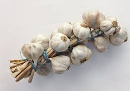 فوائد الثوم لصحتك