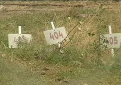 الاحتلال يحتجز 249 شهيدًا في مقابر الأرقام