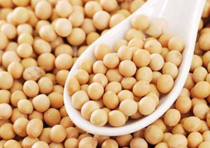 فول الصويا يحد من إنتشار سرطان الثدي