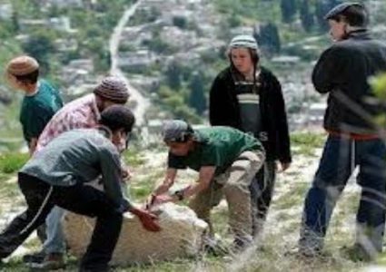 إصابة مواطنين شمال شرق القدس