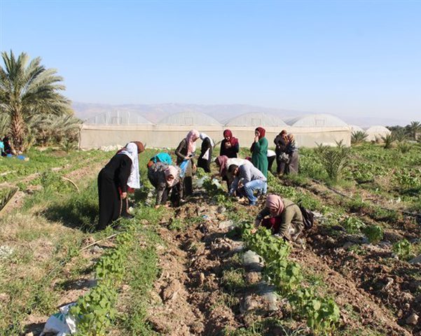 "REFORM" تدعو الى تعزيز صمود النساء في الاغوار