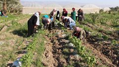 "REFORM" تدعو الى تعزيز صمود النساء في الاغوار