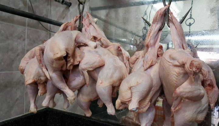 تحديد سعر "اللاحم" .. هل يرضى المواطن؟