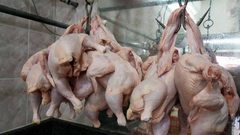 تحديد سعر "اللاحم" .. هل يرضى المواطن؟