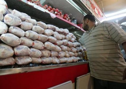 الزراعة تدرس استيراد دجاج مجمد من الأردن لحل الأزمة