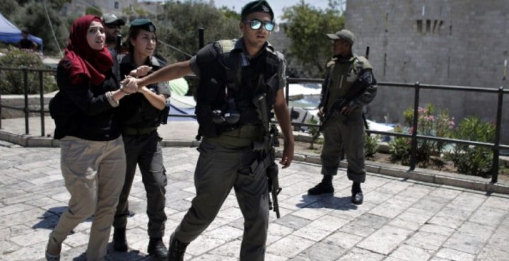 اعتقال 11 مواطنا بينهم فتاة في سلوان