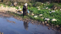 تأهيل أراض في مناطق "ج"