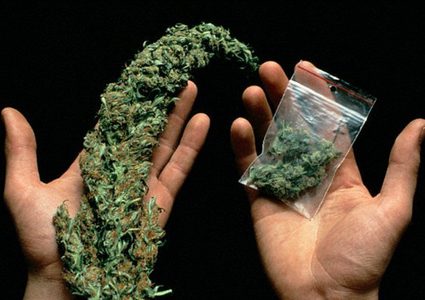 ضبط كيلو ونصف من المخدرات في الخليل