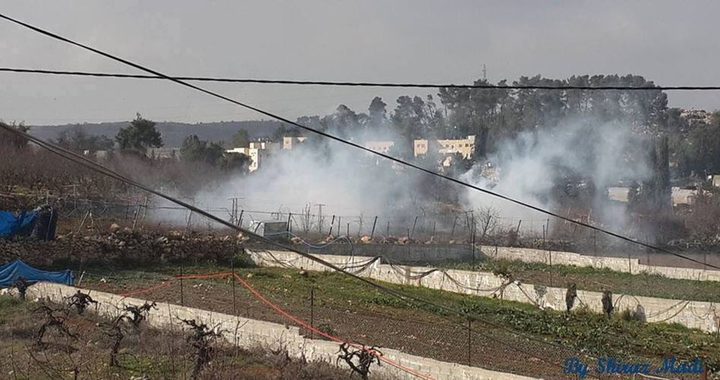 "أيام العجوز" ... تذكي آذار الفلسطينيين