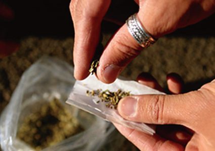 داخلية غزة: هناك مخطط لإغراق القطاع بالمخدرات