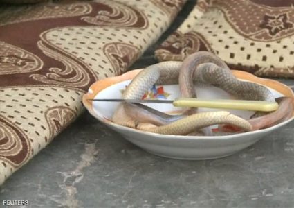 العوز قادها لأكل الأفاعي لعلاج سرطانها!