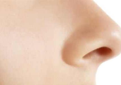 البيئة والمناخ يحددان حجم الأنف