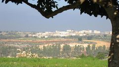 الاحتلال يجدد أمر الاستيلاء على أراضٍ في قلقيلية