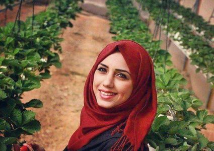 سناء .. مهندسة "الفراولة المعلقة" (صور)